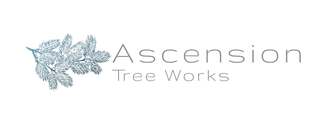 ascensiontreeworks.co.nz